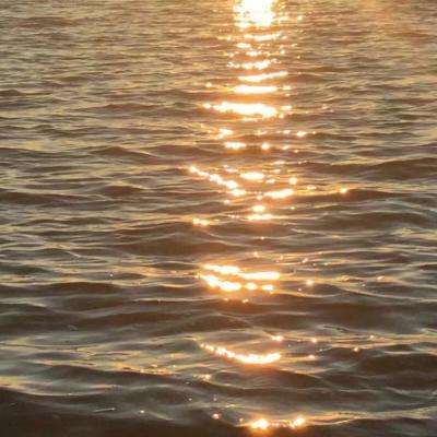 4949澳门免费资料大全app下载